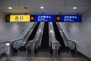 20170106053155_NIKON D200.jpg